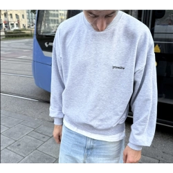 BASIC CREWNECK GREY