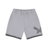 BADMAN SHORTS GREY